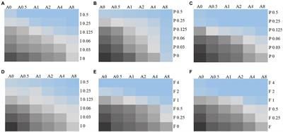 A Preliminary in vitro and in vivo Evaluation of the Effect and Action Mechanism of 17-AAG Combined With Azoles Against Azole-Resistant Candida spp.